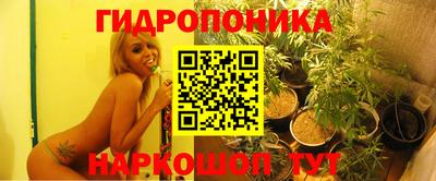 гашик Конаково